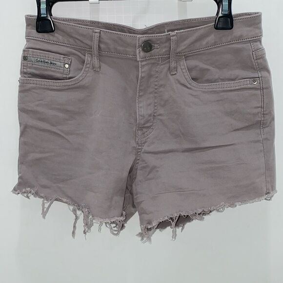 Calvin Klein Jeans Raw Cut Gray Stretch Shorts Size 27 With 5 Pockets - Picture 1 of 9
